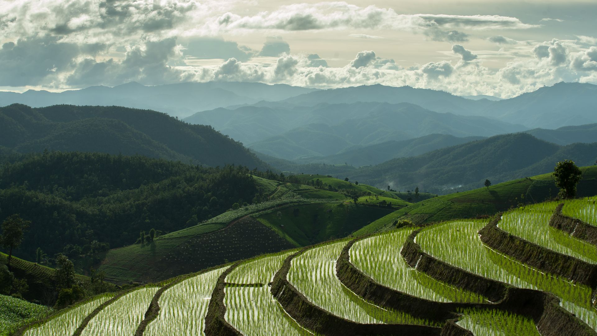 Chiang Mai Resident Complex